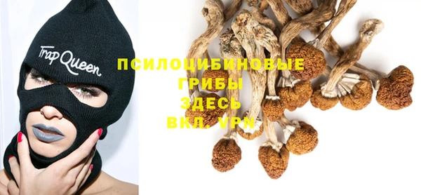 амфетамин Алексеевка