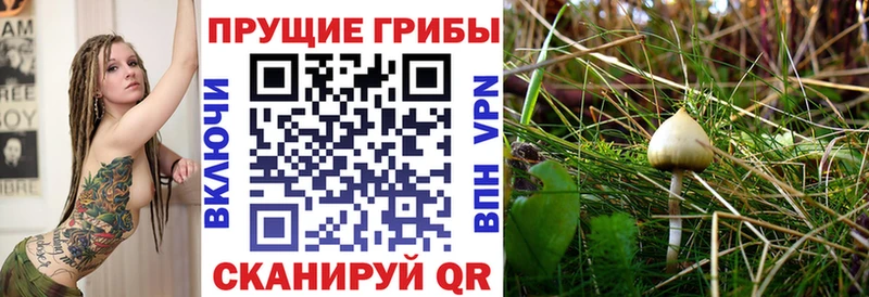 Галлюциногенные грибы мицелий  дарнет шоп  Курлово 